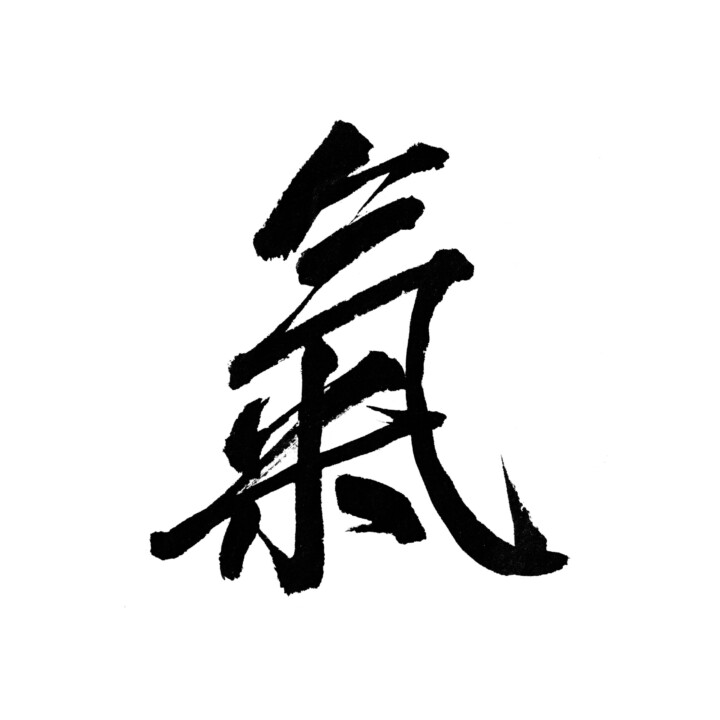 TCM Yin und Yang